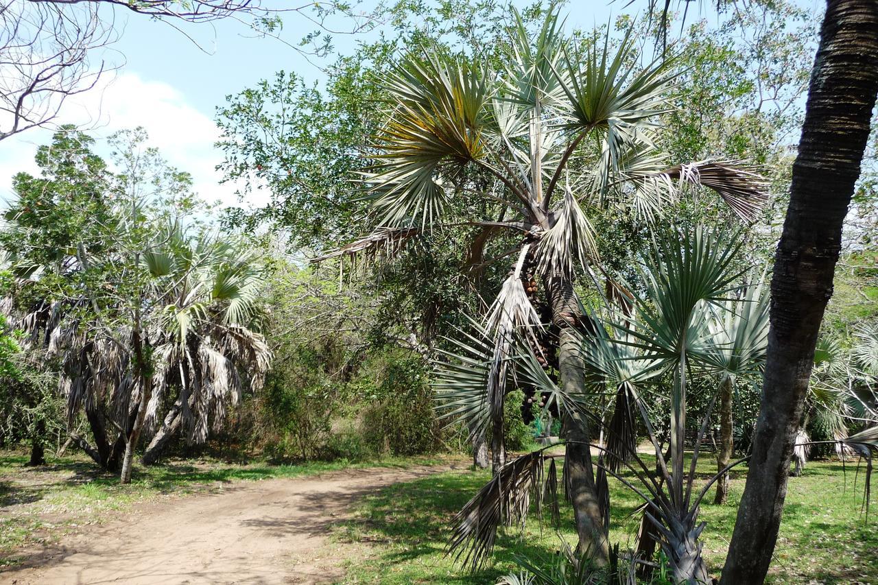 Isinkwe Bush Camp Villa Hluhluwe Exteriör bild